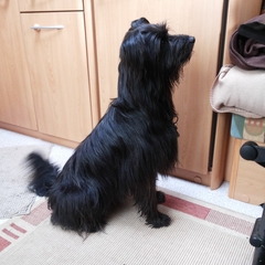 Urlaub im Schwarzwald (2)